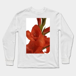 Red Gladioli Closeup Long Sleeve T-Shirt